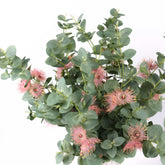 Eucalyptus Blossom Spray 75cmH